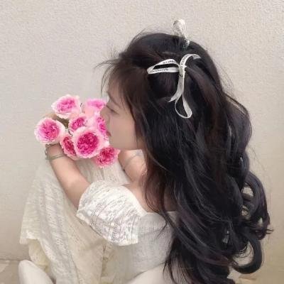 抗拒：柳宽顺的故事